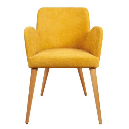 картинка Полукресло Дион от компании CORSASTYLE